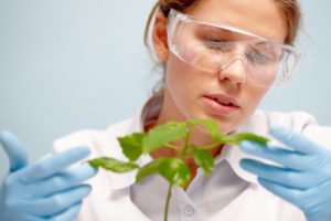 Купить диплом биолога Диплом биолога